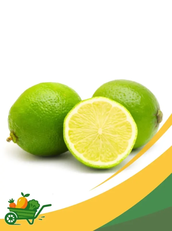 Limes