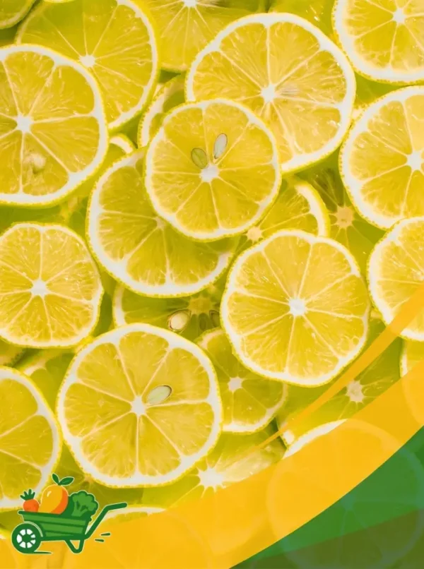 Limes
