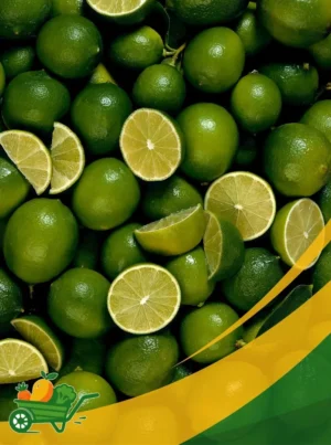 Limes