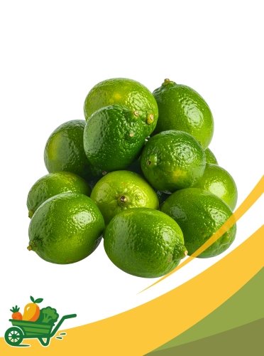 limes Limes