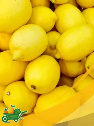 Lemon - 25Lb Box