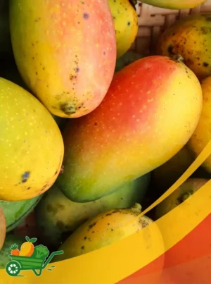 Mango - 25Lb Box