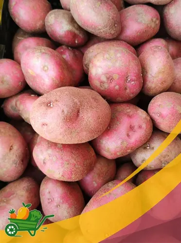 Idaho Potato - 25Lb Box