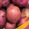 Idaho Potato - 25Lb Box