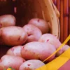 Idaho Potato - 25Lb Box