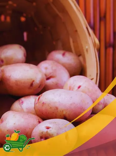 Idaho Potato - 25Lb Box