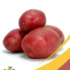 Idaho Potato - 25Lb Box