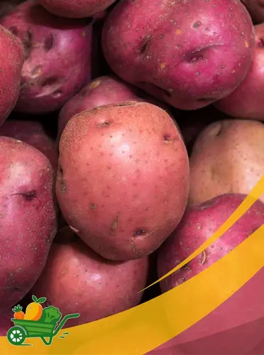 Idaho Potato - 25Lb Box