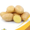 Potato - 25Lb Box
