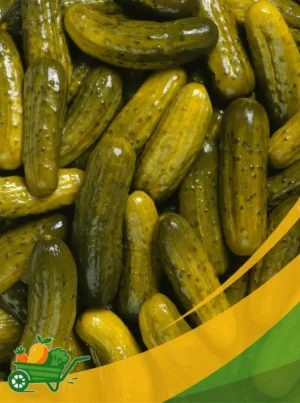 Pickling Cucumber - 25Lb Box