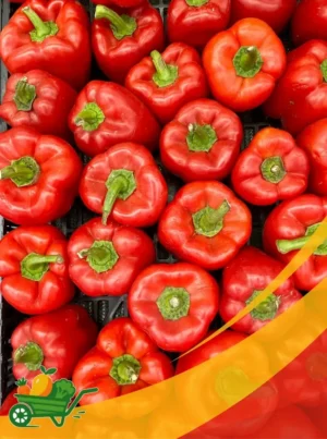 Red Bell Pepper - 25Lb Box