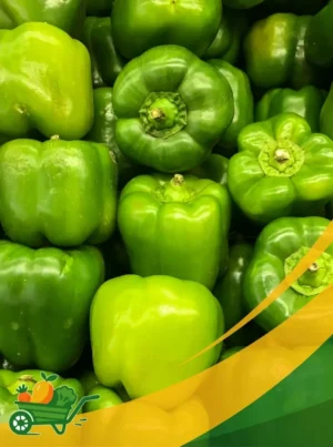 Green Bell Pepper - 25Lb Box