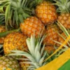 Pineapple - 25Lb Box