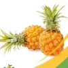 Pineapple - 25Lb Box