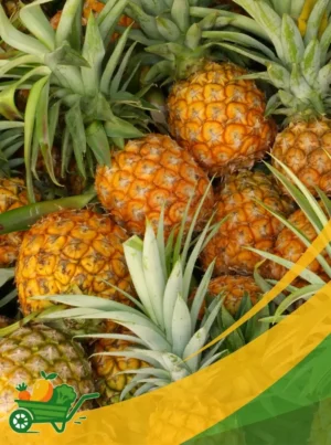 Pineapple - 25Lb Box
