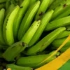 Green Plantain - 25Lb Box