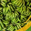 Green Plantain - 25Lb Box