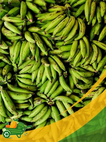 Green Plantain - 25Lb Box