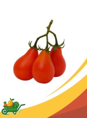 Plum Tomato - 25 Lb Box
