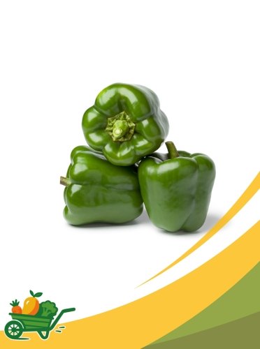 Green Bell Pepper - 25Lb Box