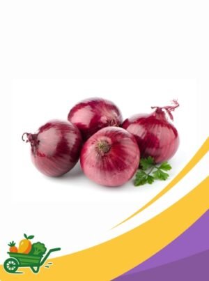 Red Onion - 25 Lb Box