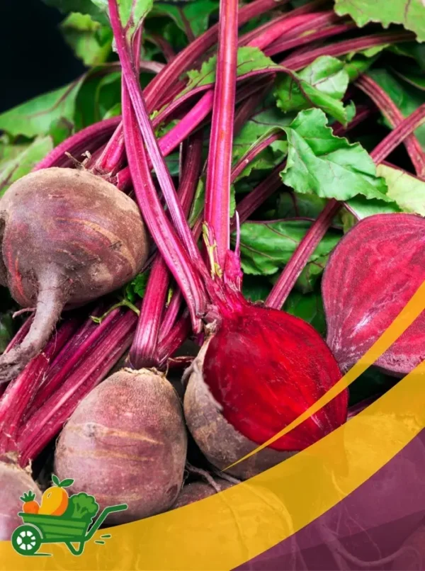 remolacha (2) Beetroot - 25Lb Box