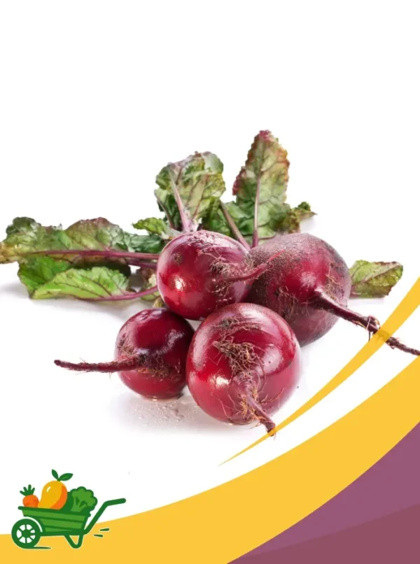 remolacha (3) Beetroot - 25Lb Box