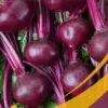remolacha Beetroot - 25Lb Box