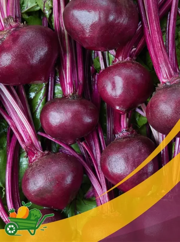 remolacha Beetroot - 25Lb Box
