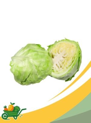 Green Cabbage - 50Lb Box