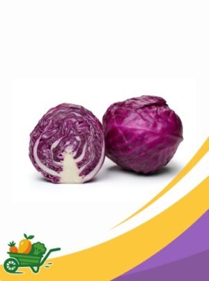 Red Cabbage - 25Lb Box