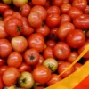 Fresh Tomatoes - 25 lb Box