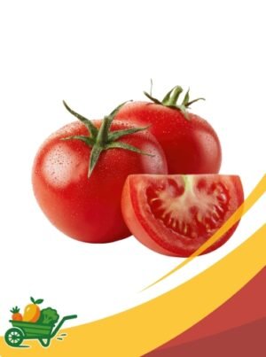 Fresh Tomatoes - 25 lb Box