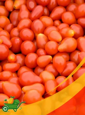 Plum Tomato - 25 Lb Box