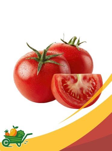 Fresh Tomatoes - 25 lb Box
