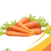 zanahorias (1) Carrot - 25Lb Box