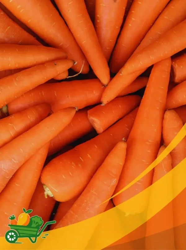 zanahorias (2) Carrot - 25Lb Box