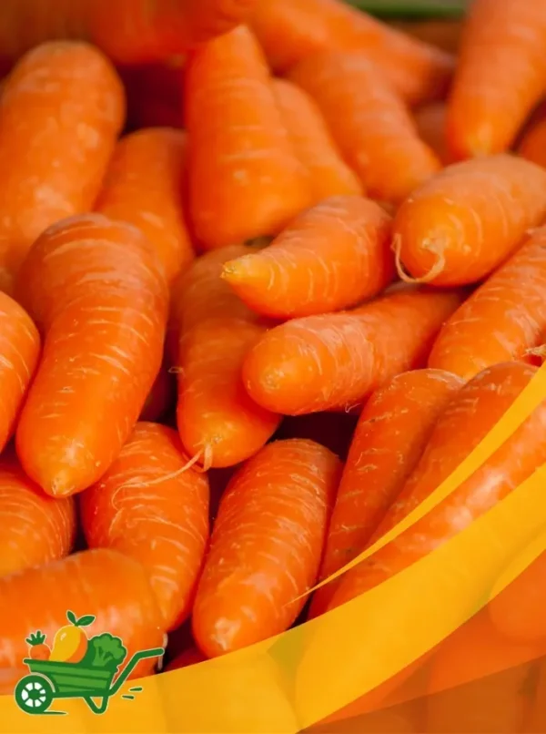 zanahorias Carrot - 25Lb Box