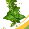 Basil Microgreens- 8 Oz
