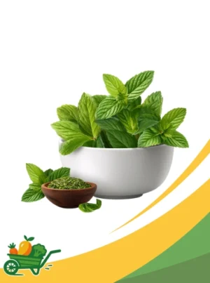 Mint Microgreens - 6 OZ