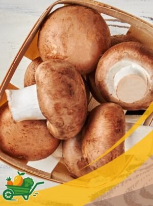 Portobello Mushrooms - 25LB