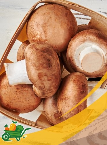 Portobello Mushrooms - 25LB
