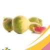 rabano sandia Watermelon Radish-25LB