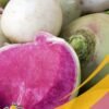 rabano sandia4 Watermelon Radish-25LB