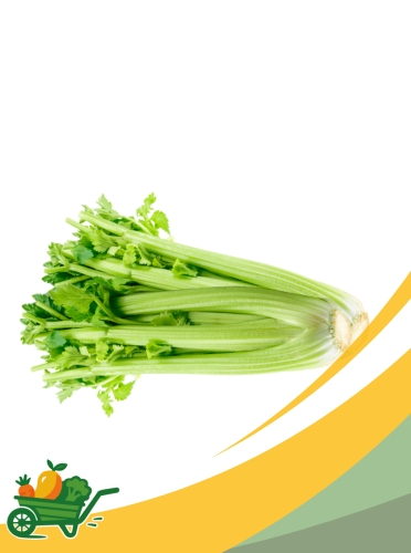 Celery - 30 CT
