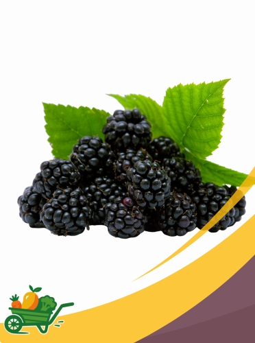 mora Blackberries - 12/60 z
