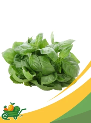 Basil - 1 LB