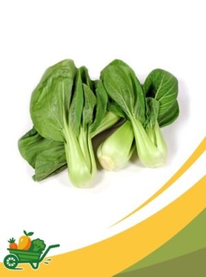 bok choy Bok Choy - 30 LB