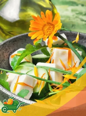calendula Marigold - 50 CT