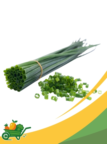 chives Chives - 1 LB